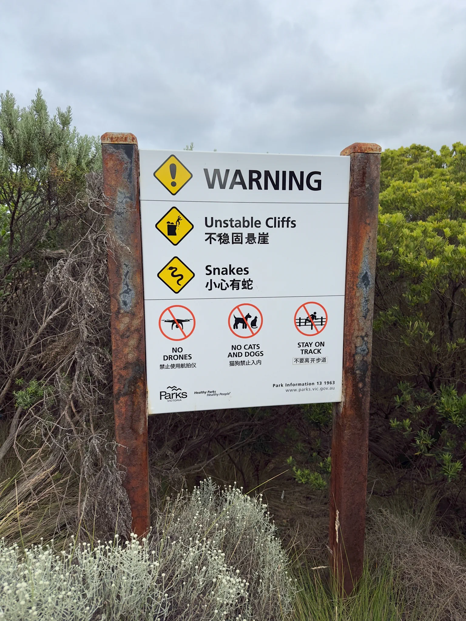 image_1742030878_1364191379.webp